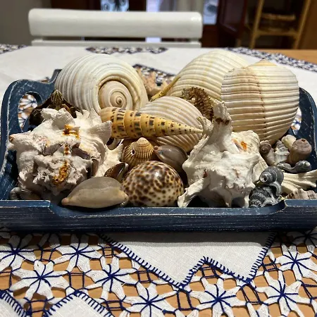 Il Gabbiano Apartment Vasto